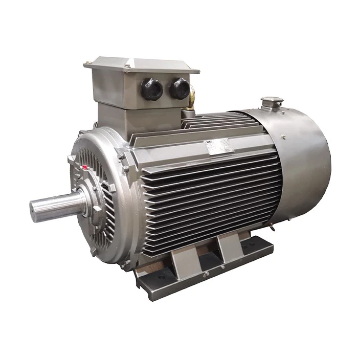 YVFE5 Energy Saving Motor